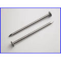 Polished and Galvanized Common Iron Nail